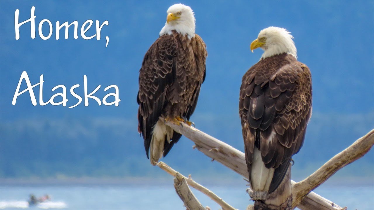 Homer, Alaska