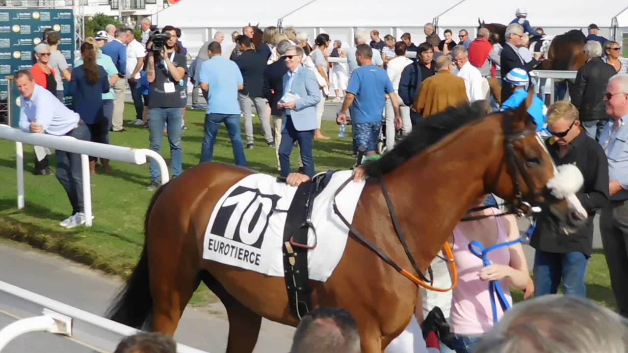 Ostende 2017 Oostende Wellington course chevaux coerse Pferderennen