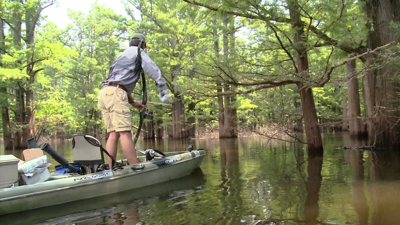 Kayak Bowfishing in the Swamp