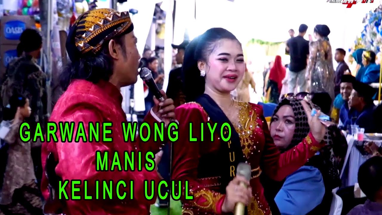GARWANE WONG LIYO // MANIS // KELINCI UCUL CS PURBOYO