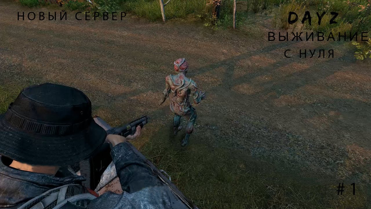 DayZ выживание с нуля  Anomaly Chernarus pve #1