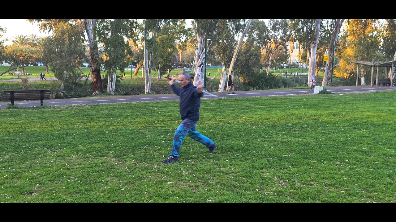 Yang Style Straight Sword Form performed with L.K. Chen's Flying Phoenix Jian