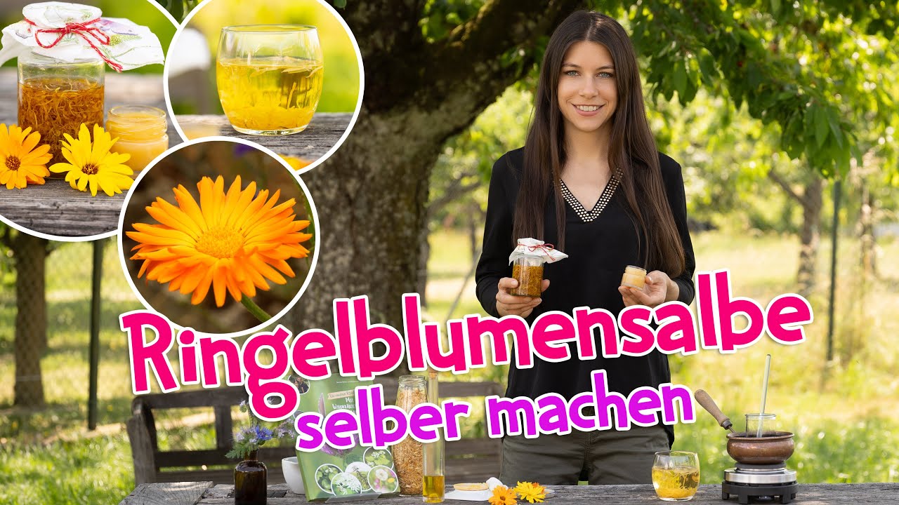 Ringelblumensalbe selber machen mit diesem einfachen Rezept 🌼 #wildkräuter #ringelblume #salbe
