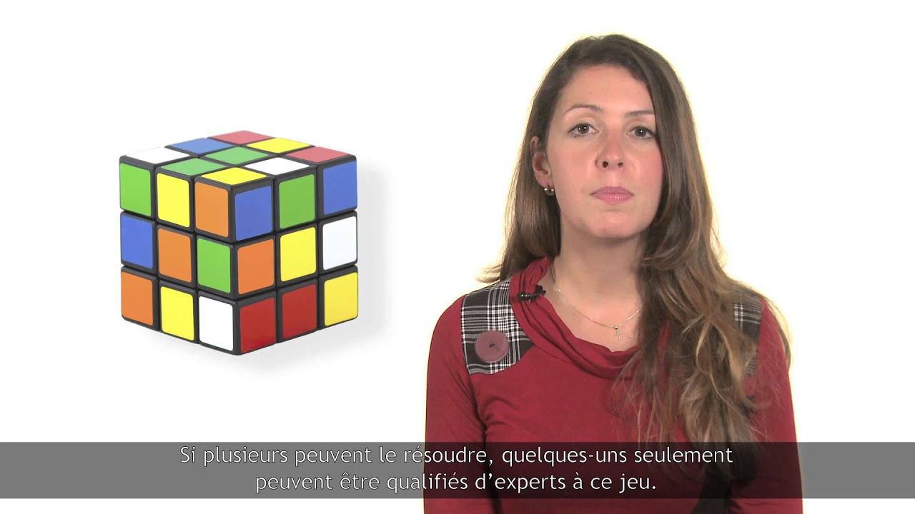 La variabilit&eacute; des apprenants