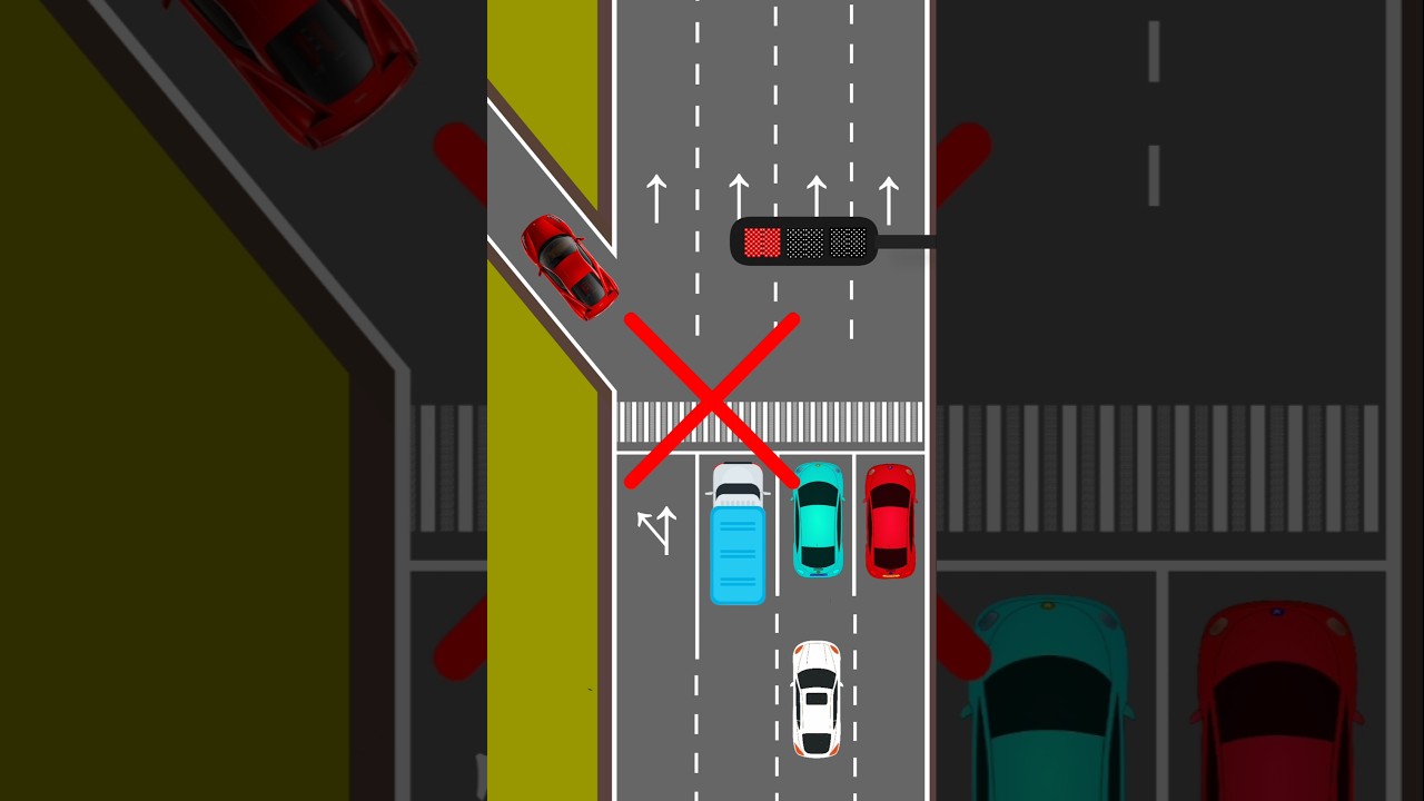 Beginner DRIVER MISTAKE &ndash; Not Knowing the Signal Rules