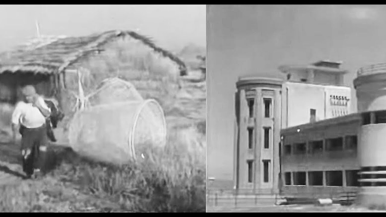 Acque nella Pianura del Campidano di Oristano 1950