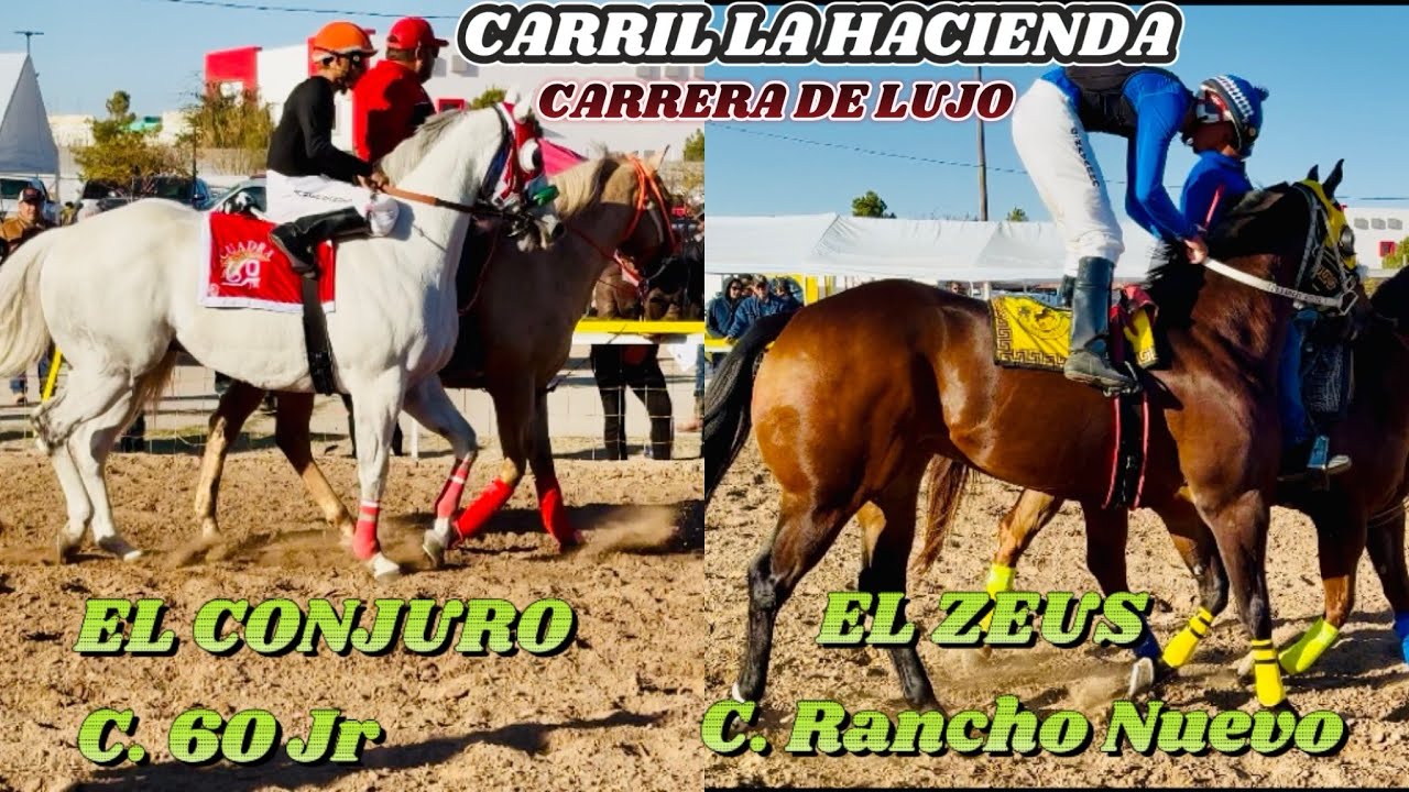 ‼️CARRERA DE LUJO‼️ EN 200 varas EL CONJURO C. 60 Jr 🆚 EL ZEUS C. Rancho nuevo 