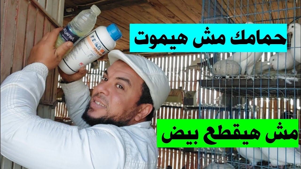 بالمنتج ده مفيش حمام هيموت منك ولا هيقطع بيض عندك  👌👌فيتامينات اد٣ه