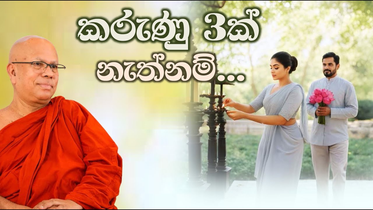 කරුණු 3ක් නැත්නම්... | Most Ven. Kiribathgoda Gnanananda Thero