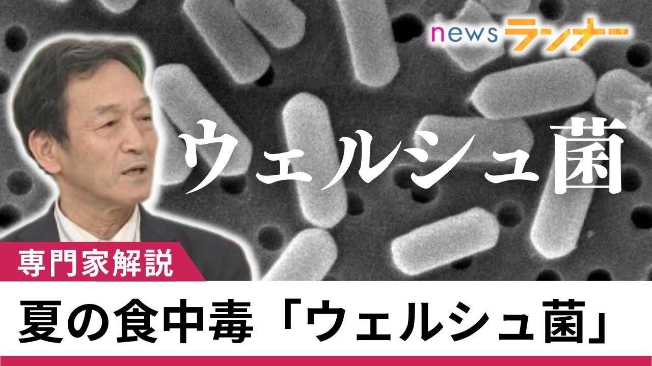 【聞きたい】細菌界の”F1レーサー”「ウェルシュ菌」原因の”集団食中毒”各地で相次ぐ　カレーなど煮込み料理で増殖　100度で1時間以上加熱でも“死なない”生命力　【関西テレビ・newsランナー】