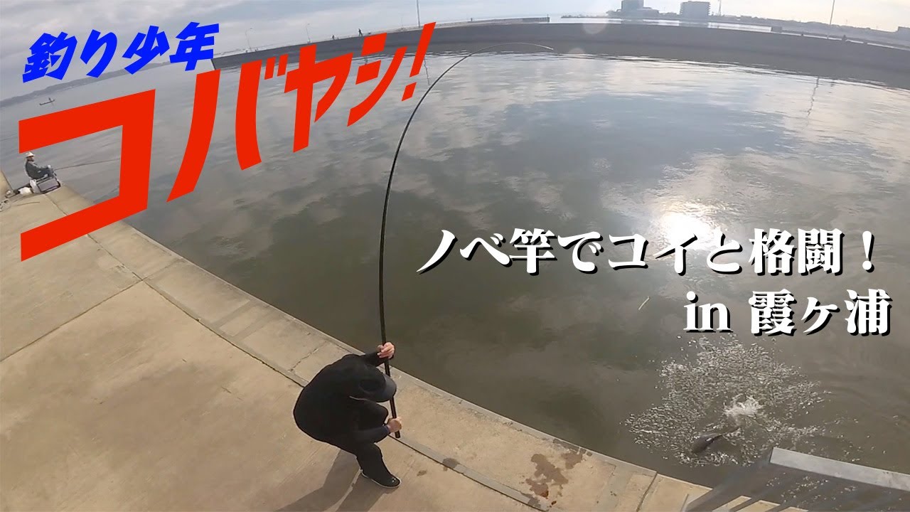 【釣り少年コバヤシ！】第一話：霞ヶ浦でコイ＆常連と戦う！【小林重工釣り動画】