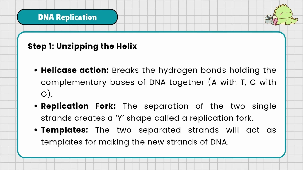 NEXLevel: Catch Ups 2.0! General Biology 2 | L1: DNA Replication