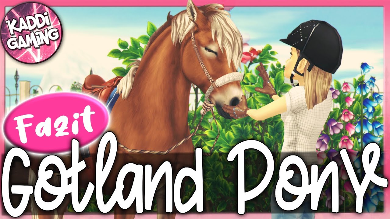 Mein Fazit zum Gotland-Pony 🐴 Kaddi's Stallgeflüster [FACECAM]