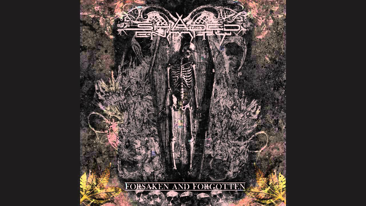 Shaded Enmity- 