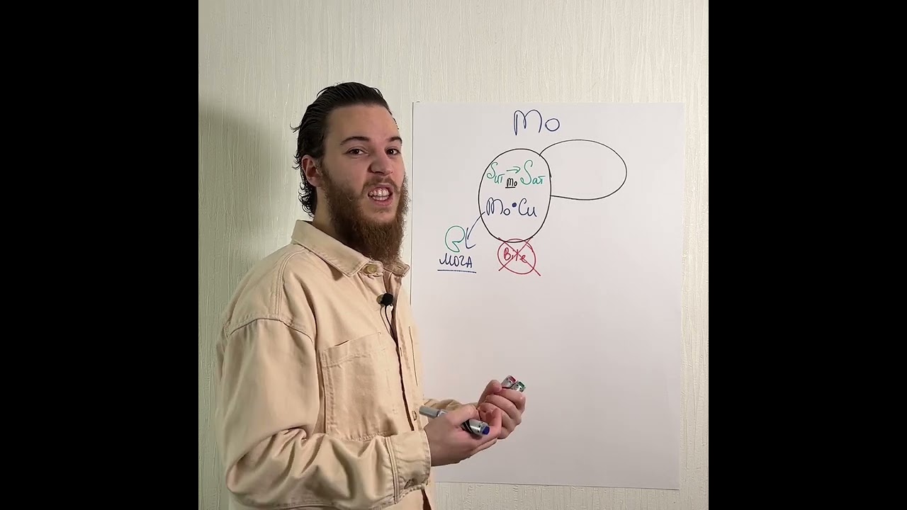 Молибден &mdash; хелатор меди