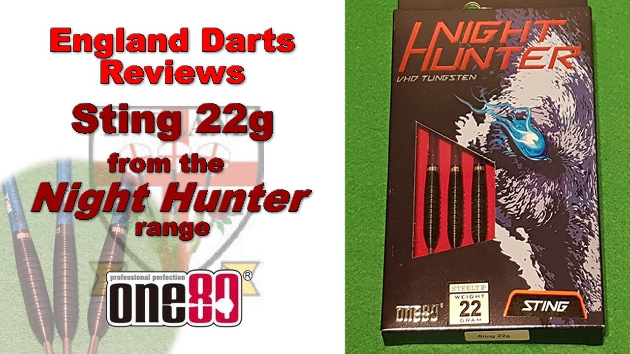 Sting 22g darts from One80