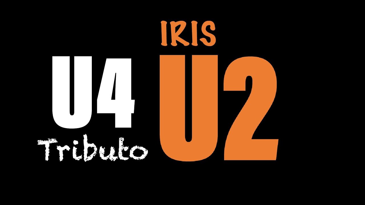 U2 - Iris (hold me close) performed by U4 Tribute Band U2