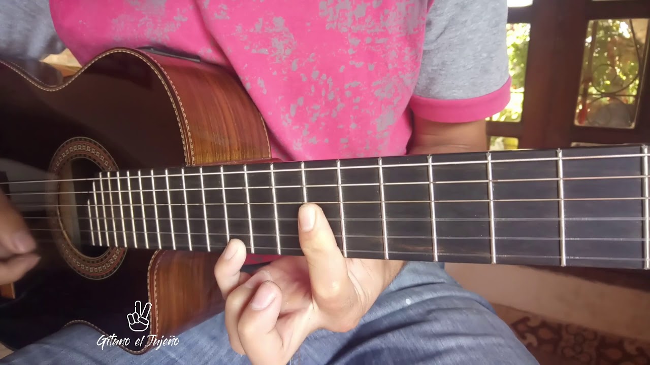 LA SERENATEÑA - PUNTEO - EL CHAQUEÑO PALAVECINO