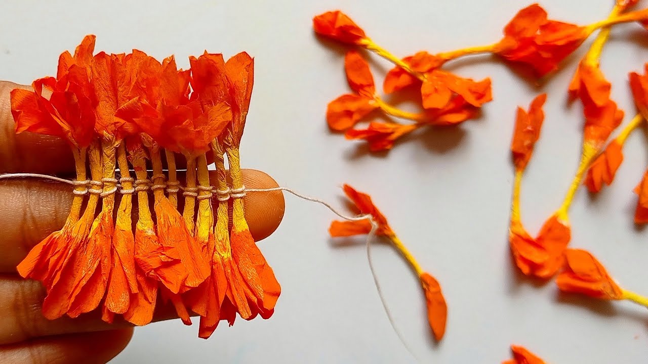 Tissue Paper kanakambaram / கனகாம்பரம் / firecracker flower / aboli / crossandra