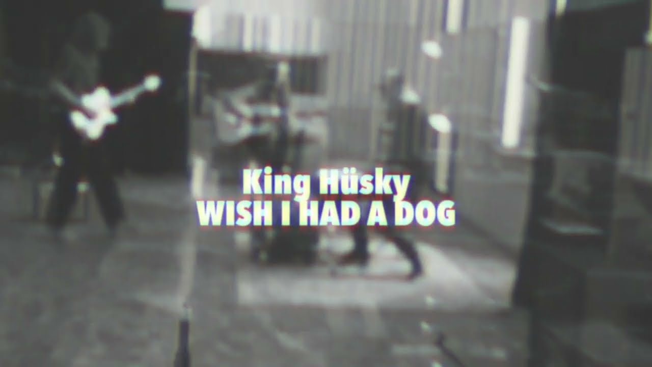 King Hüsky - Wish I had a dog