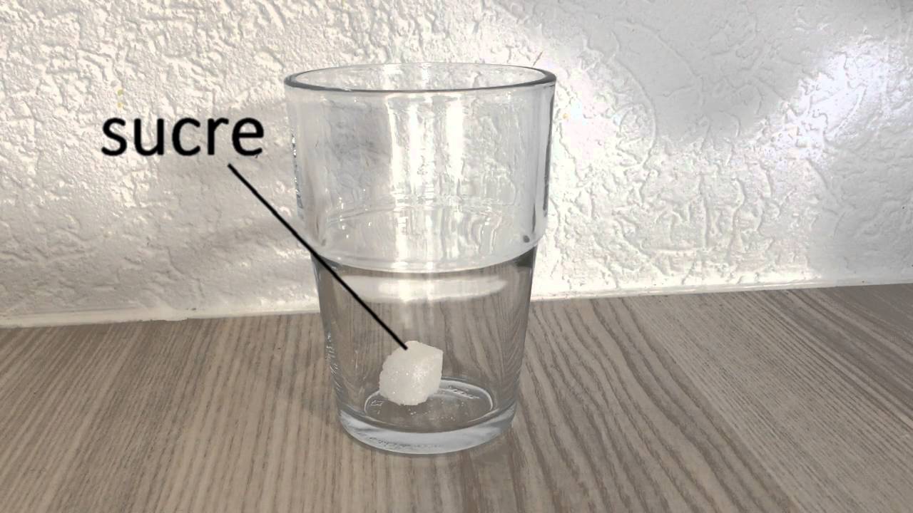 Exp&eacute;rience simple de solubilite du sucre dans l'eau