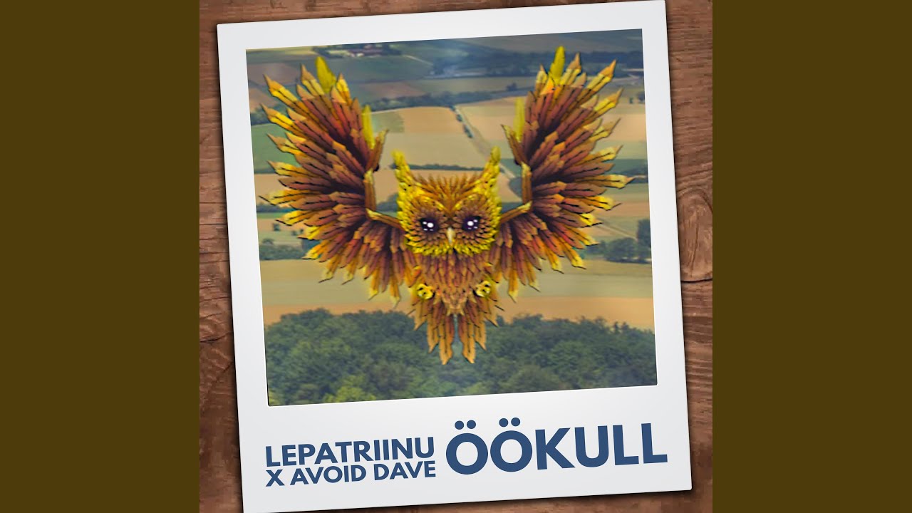 Öökull (feat. Avoid Dave)