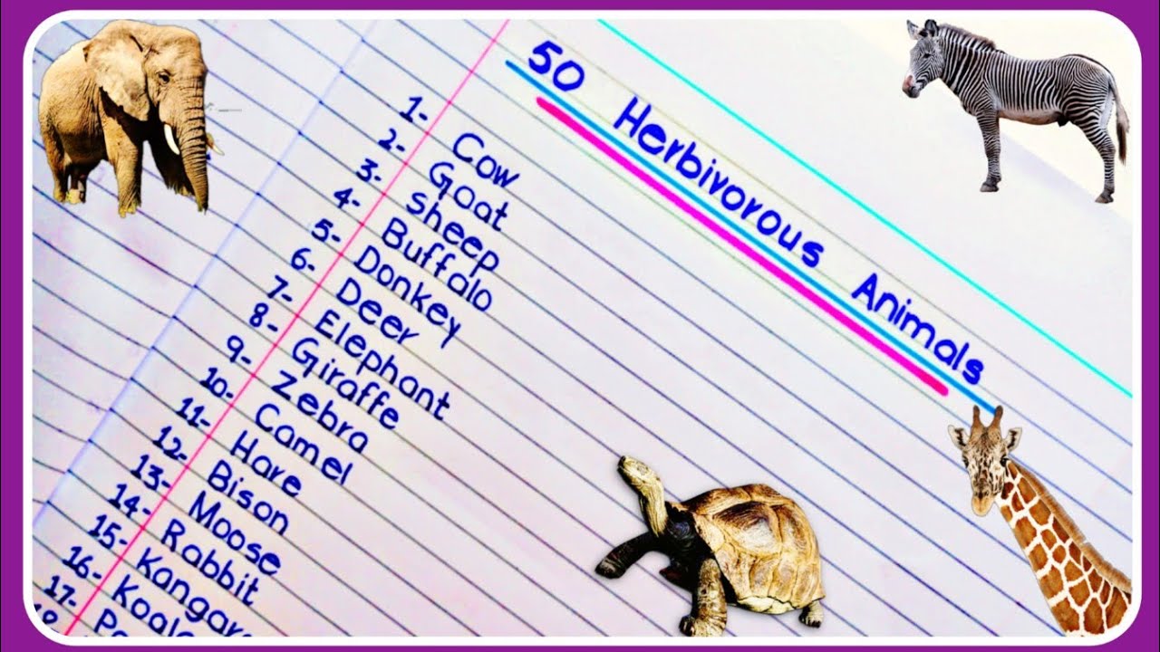 50 Herbivorous Animals Names | Herbivores Animals | Name of 50 herbivores Animals | Science Topic