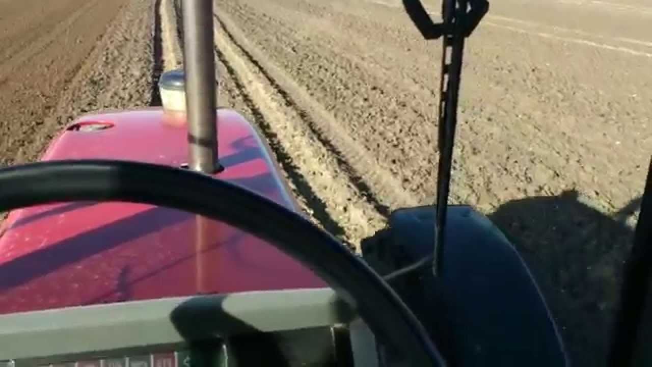 Massey Ferguson 3095 | Uprawa pod ziemniaki |