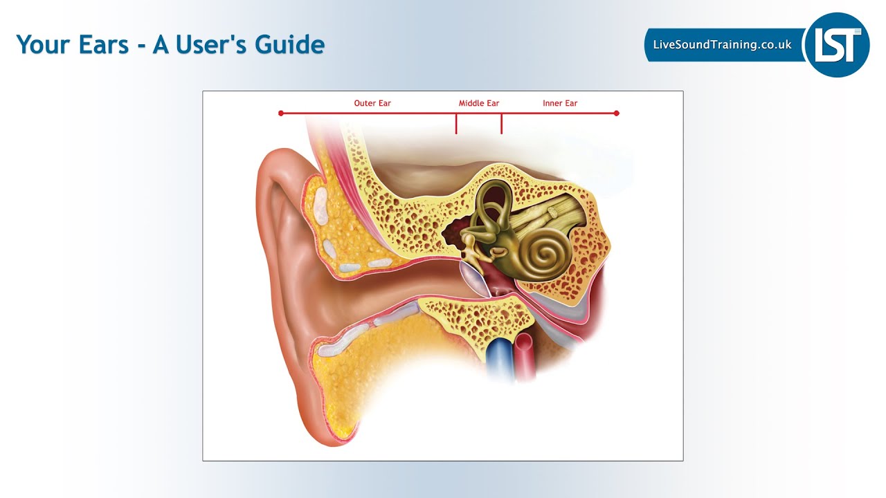 Your Ears - A User's Guide