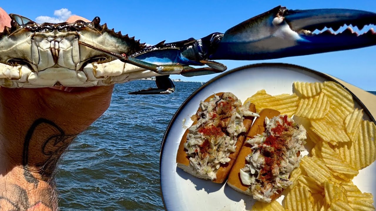 NO LOBSTER NEEDED | Blue Crab Rolls