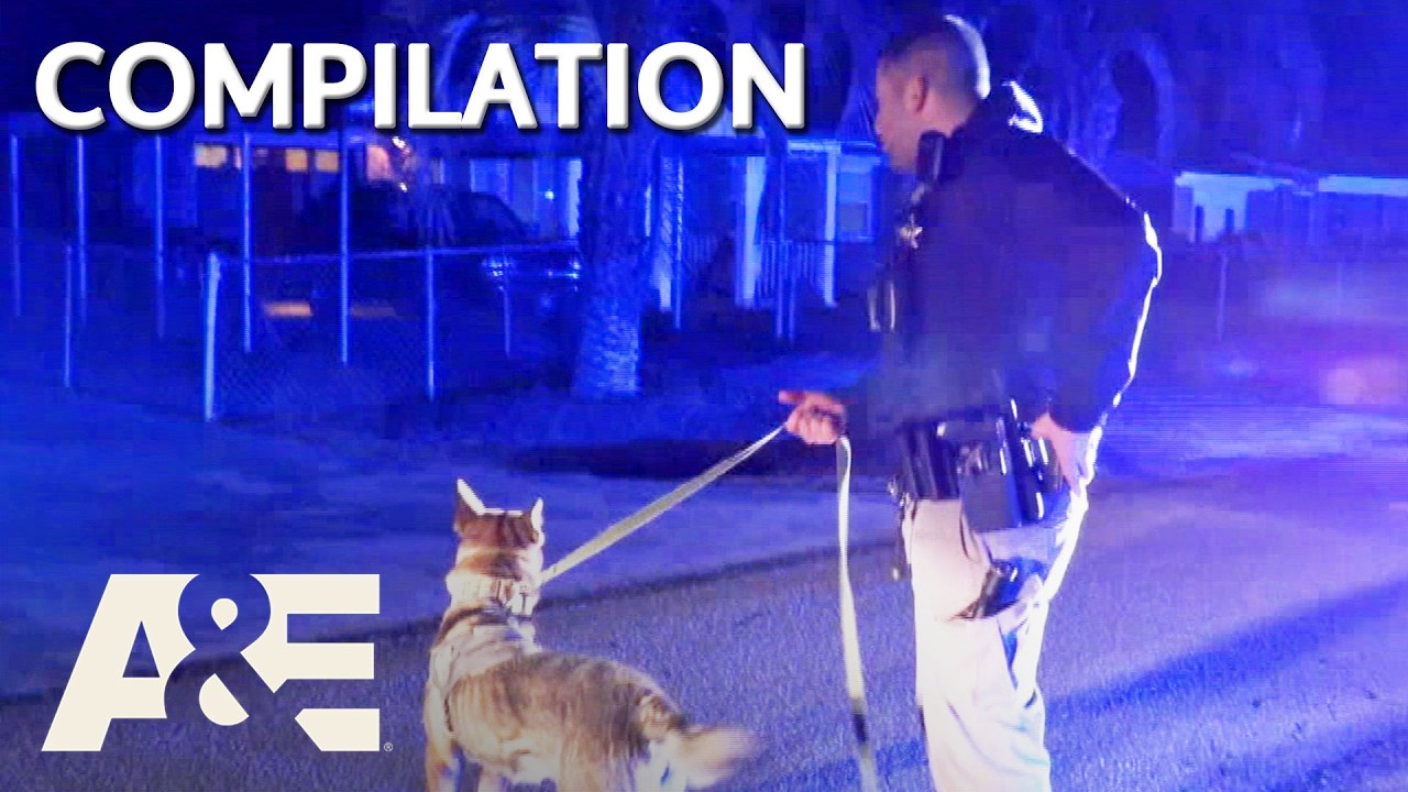 Live PD: Police Patrol &ndash; Cops in Action (Part 2) *Compilation* | A&E