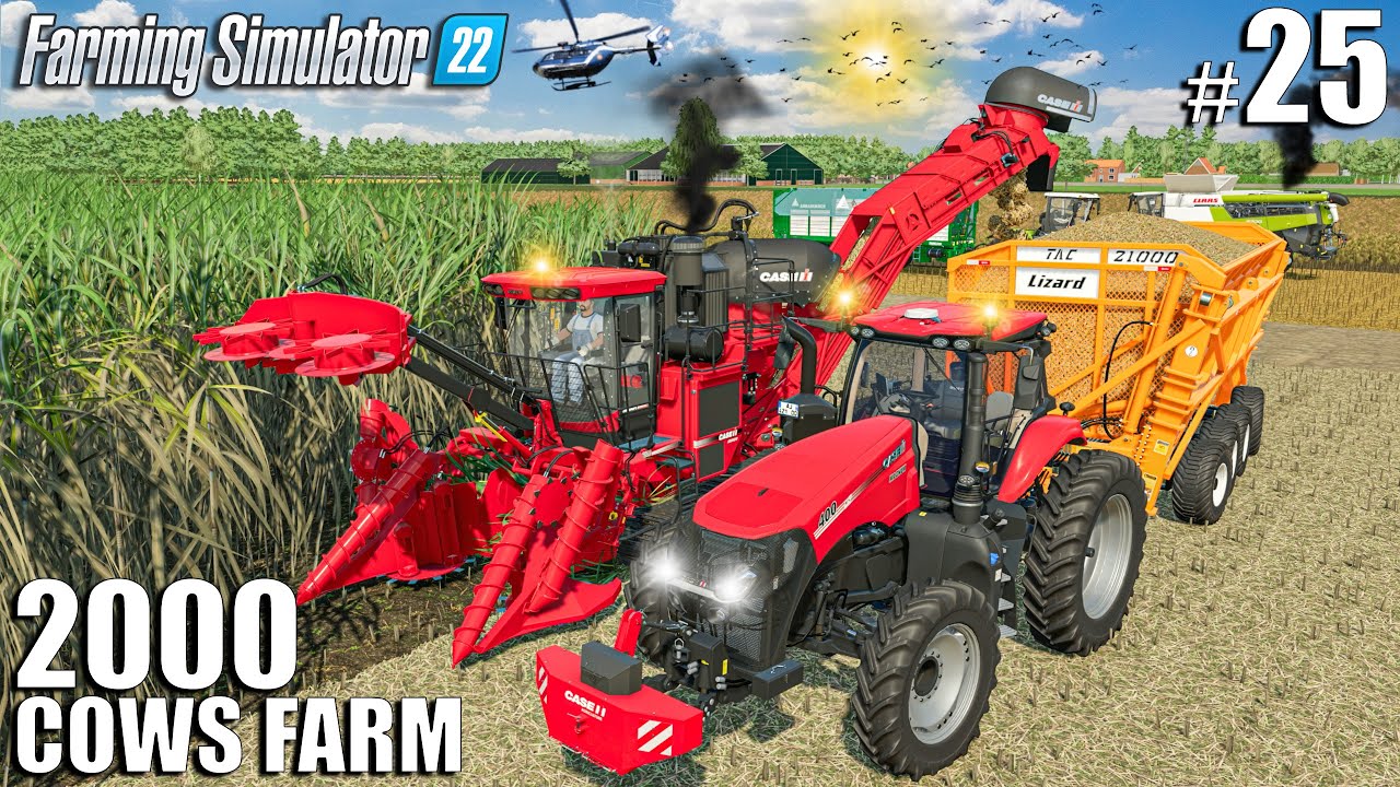 Sugarcane HARVEST and LOAD w/ CASE AUSTOFT | 2000 Cows Farm Ep.25 | Farming Simulator 22