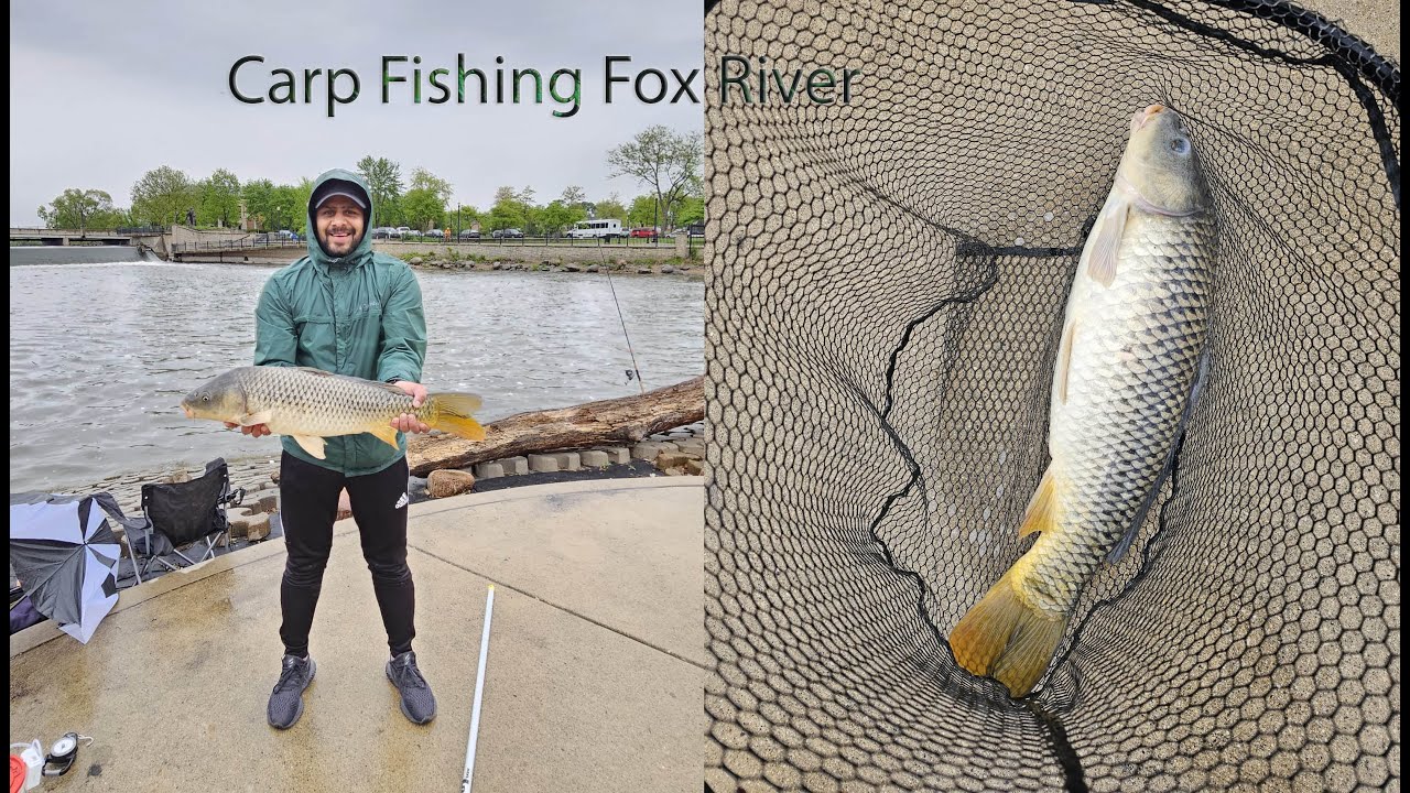 Carp & Cat fishing - Fox river Dam Elgin