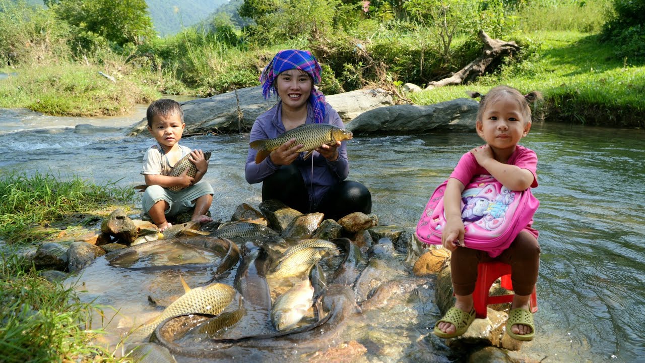 how to catch giant river fish to sell at the market - cook fish porridge for children to eat