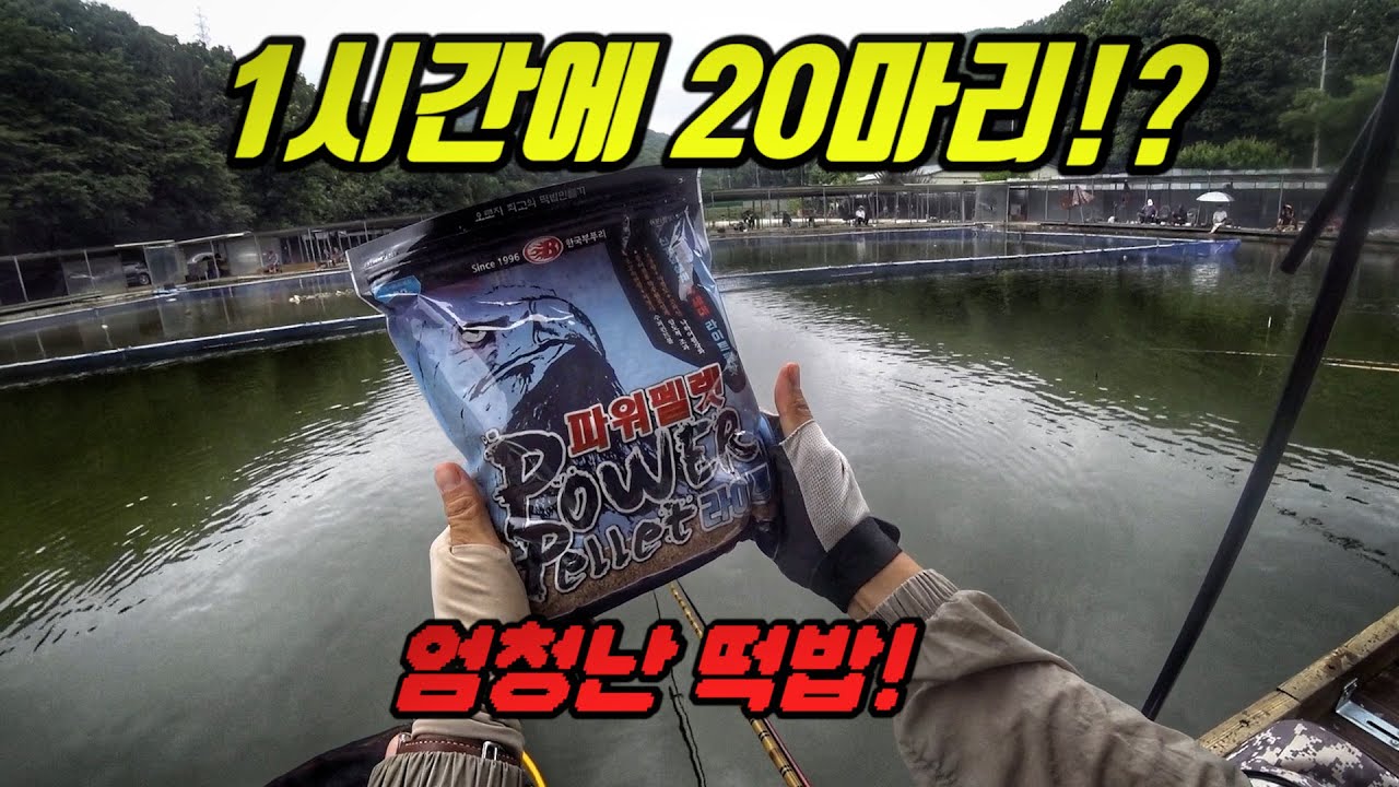 미쳤다! 어분 하나만 써서 1시간에 20마리!?