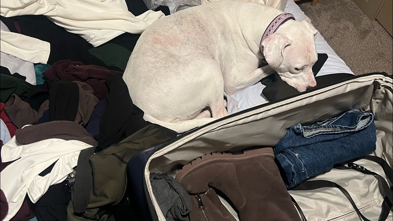 Help me Pack!