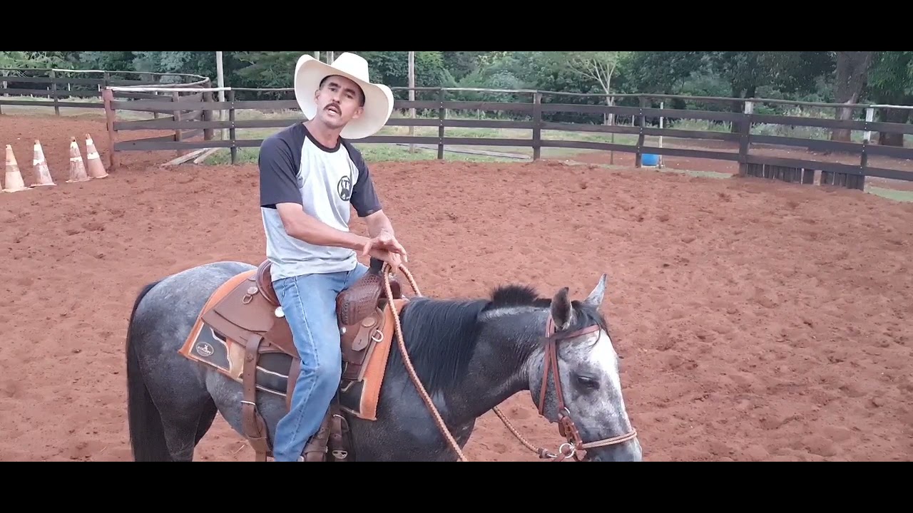 Como eu Domo meus Potros e início no Ranch Sorting