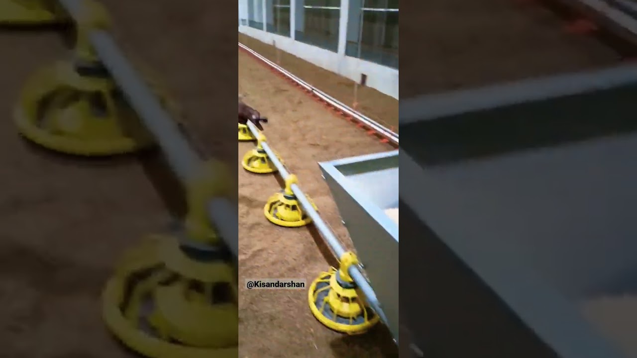 Automatic poultry feeding system