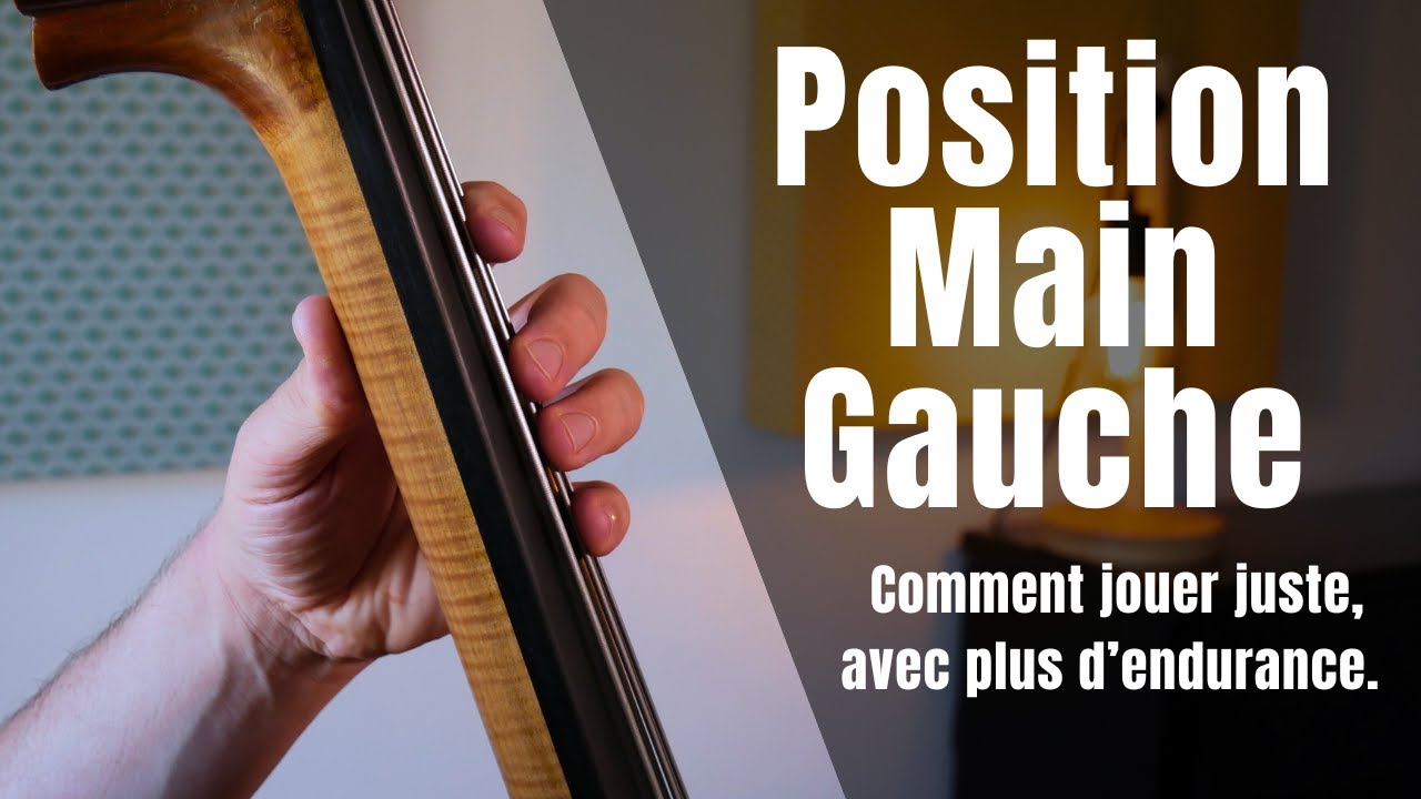 Contrebasse débutant - Position main gauche