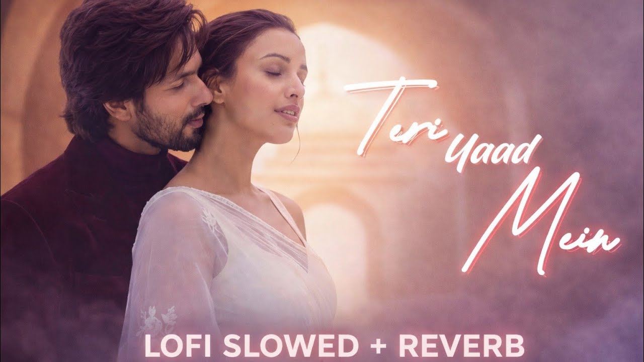 Teri Yaad Mein | Lofi Slowed + Reverb | Shahid Kapoor & Triptii Dimri | New Song 2026