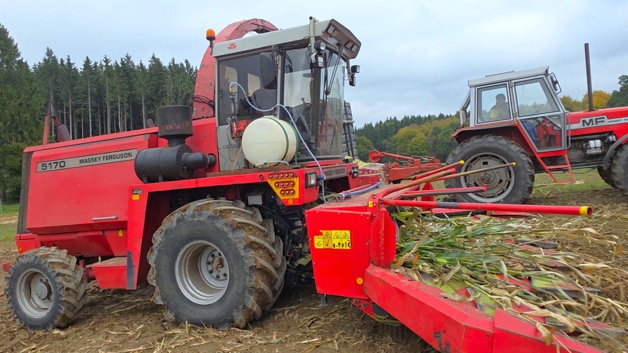 Massey Ferguson 5170 anno 1997 a Mengele production 8 -rows corn Harvester with MF 1134