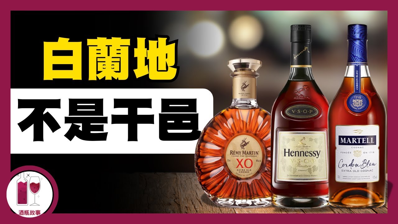 干邑點先叫靚野？乜野係 VSOP XO？公投我最喜愛干邑品牌 (粵語中字)【酒瓶故事】