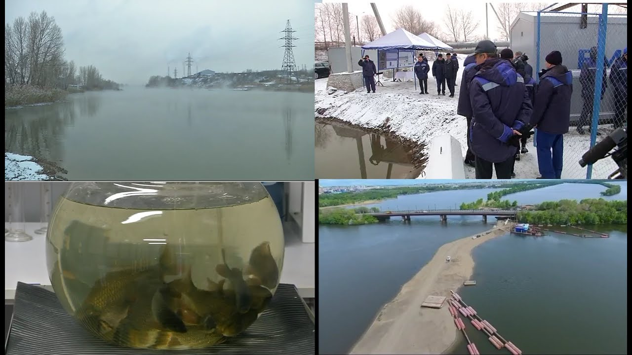 Оберег для города Эфир: 07-12-2018