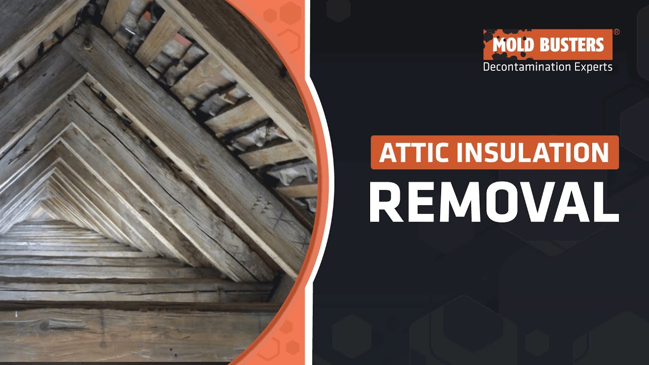 Attic Insulation Removal - Get Rid of Zonolite Insulation - Mold Busters