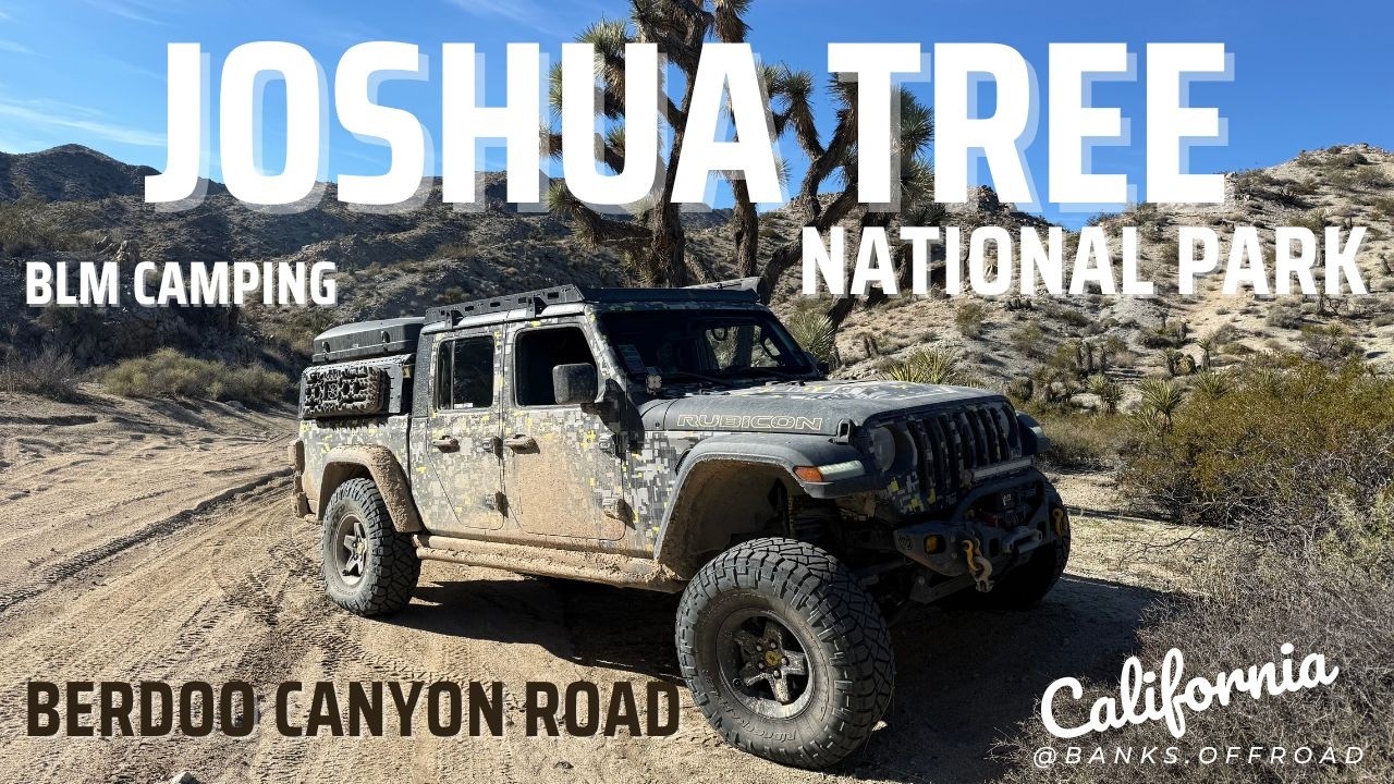 Joshua Tree Offroading, BLM Camping, and More!