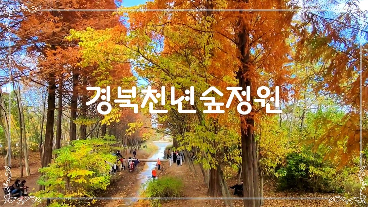 경주 경북천년숲정원