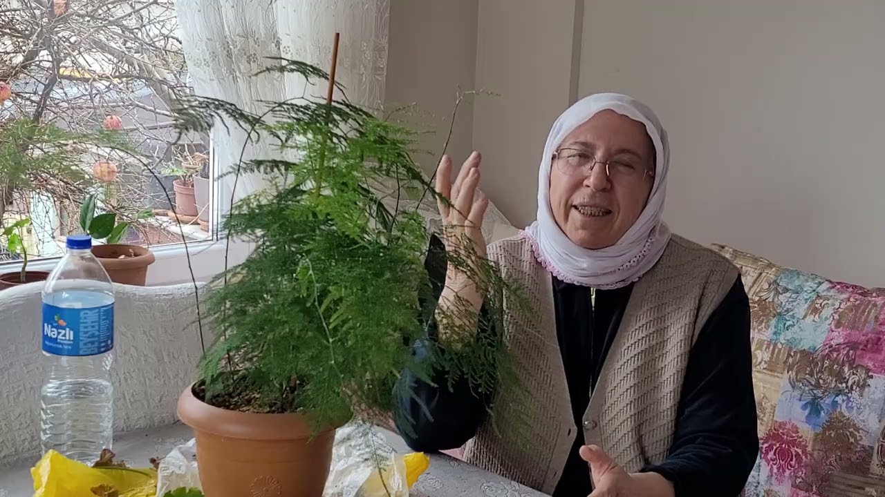 KUŞKONMAZ ÇİÇEĞİNE NASIL BAKILIR.?......