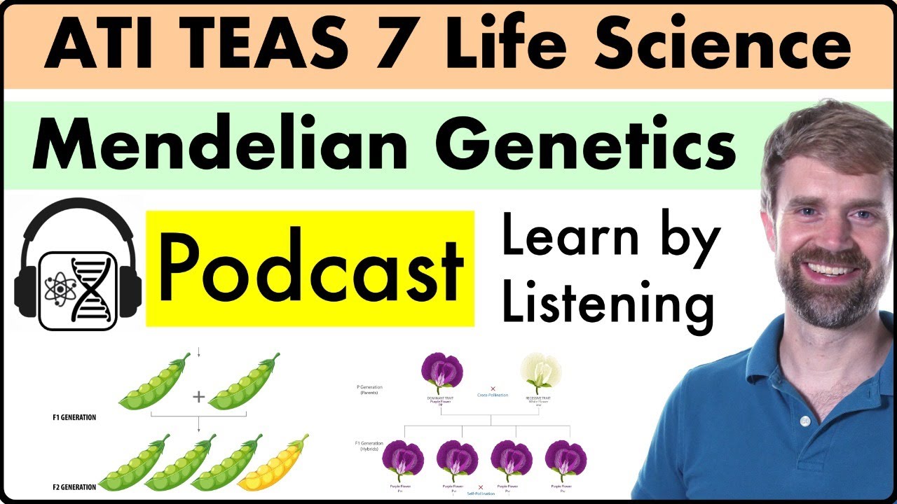 TEAS 7 Life Science: Mendelian Genetics Podcast