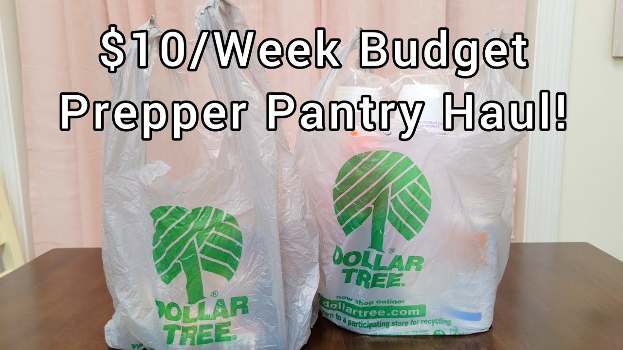 Prepper Pantry Dollar Tree Haul! | $10/Week Budget Prepping!