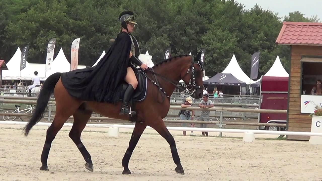 GOF Lamotte Beuvron 2015 Dressage Club 1 LIbre
